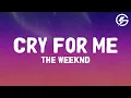 Download Lagu The Weeknd - Cry For Me (Lyrics)