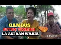 Download Lagu GAMBUS BUTON TENGAH LA ASI DAN WARIA | PEMAIN GAMBUS LAGAISI