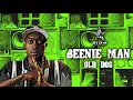 Beenie Man - Old Dog (Official Audio) | Jet Star Music - Beenie Man