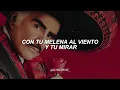 Vicente Fernández - Estos Celos (Letra)