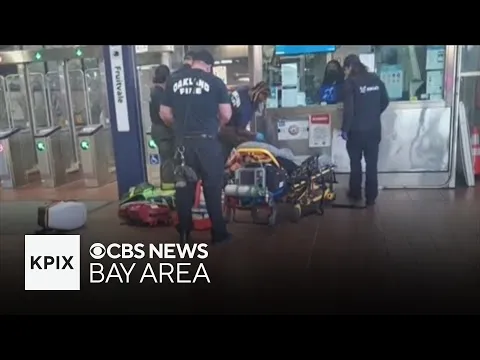 Oakland stabbing spree was series of random attacks, police say