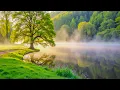 Download Lagu Beautiful Relaxing Music - Stop Overthinking, Stress Relief Music, Sleep Music, Calming Music #2