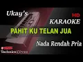 Download Lagu UKAY'S - PAHIT KU TELAN JUA ( NADA RENDAH PRIA ) || KARAOKE