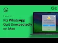 How to Fix WhatsApp Quit Unexpectedly on Mac WhatsApp Constantly Crashing on Mac Quick Fixes