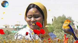 الفنانه انشراح محمد تغني عهودي ليك  الفنانه انشراح محمد تغني عهودي ليك