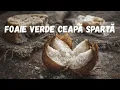 Lagu Foaie verde ceapă spartă –AiuldeAur | Satiră (Official Audio)