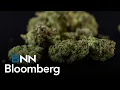 Trulieve Q4 results U S cannabis market outlook