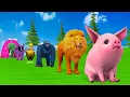 Download Lagu Long Slide Game With Elephant Gorilla Buffalo Hippopotamus Tiger 3d Animal Game Funny 3d Animals