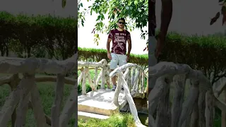 الناس الصفراء   دندنها