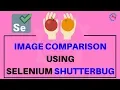 Image Comparison Using Selenium Shutterbug in Selenium Webdriver