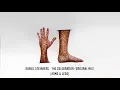 Daniel Steinberg - The Celebration (Original Mix)