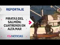 Download Lagu Capturan a BANDA DE PIRATAS que robaba salmones en mares del sur de Chile | Reportajes CHV