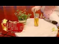 Jay Chou 周杰伦 2021年春晚表演mojito