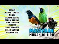 Download Lagu MASTERAN MURAI BATU PALING MUDAH DI TIRU