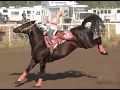 Barrel Racing series from McHenry County Saddle Club