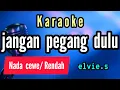 Lagu karaoke JANGAN PEGANG DULU JANGAN CIUM DULU elvie.s nada CEWE