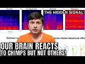 Lagu Why Does the Human Brain React to Chimp Voices Like This?