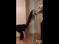 Best TikToks from - 2020