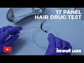 17 Panel Hair Drug Test What does it test for