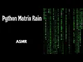 Coding Matrix Digital Rain in Python Pygame Satisfying ASMR