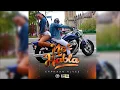 Erphaan Alves - No Habla (Hold Ya) (Official Audio)