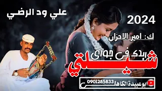 جديد الفنان علي ودالرضي 2024 شيلتي ريدك في جواي كلمات امير الاحزان نااار فراق عزاب 
