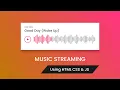 How To Add Song On website With Sound Wave Pattern Using HTML CSS JS