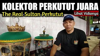 Download Kolektor suara perkutut lokal gacor juara,speed panjang \u0026 cepat. MP3