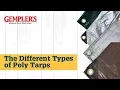 The Different Types of Poly Tarps and the Best Tarp for What You Need Covered Tips from Gemplers