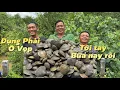 Download Lagu Tân Long nơi có rất nhiều con Vọp bắt mánh thiệt đã tay | Cù Lao Dung Vlogs