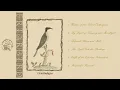 Download Lagu Friarbird - Ornithologies (2025) (Full Album)