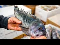 I Spent a Day at NYC s Craziest Fish Market