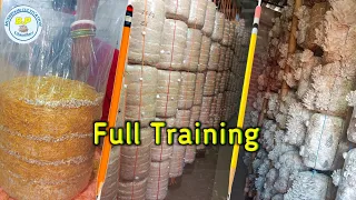 oyester mushroom cultivation full training bpchaudhari mushroom