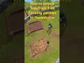 How to unlock the Tree Patches in Havenhythe
