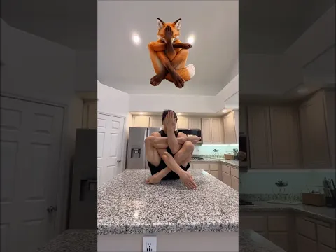 Don't just watch. Try it, you've got this 🦊 #yogapose #challenge #flexibility #mobility #stretching