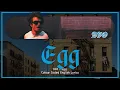 DJO - EGG Colour English Coded