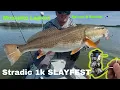 Download Lagu Mosquito Lagoon | Stalking Tailing Redfish in the Gheenoe LT25 | 8 Reds by Noon!