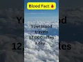 Download Lagu Discover The Incredible Distance Your Blood Travels Every Day