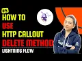 HOW TO USE THE HTTP CALLOUT DELETE METHOD WINTER 24 UPDATE
