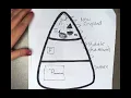 Geography and Economies of 13 Colonies Part 2