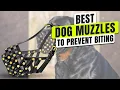 3 BEST Dog Muzzle to Prevent Biting