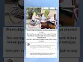 Download Lagu Alami d3pr3si setelah skripsinya diambil teman