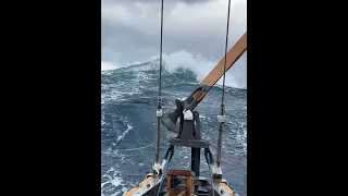 Too Close for Comfort!