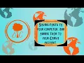 Saving fonts from 1001 Fonts and adding them to your Canva account