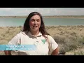 BLM Colorado Partnerships and Restoration Landscapes