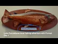 Lake Eucumbene Buckenderra Trout Fishing Adventure with Forrest - Day 1 No Fish but Epic Steaks