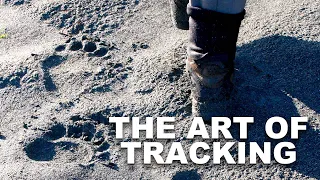 art of tracking season 2 episode 38