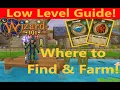 Wizard101 Where to find Ore and Diamond Farming Location for Level 15 and up