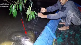 Download NAJUR Di SUNGAI YANG MASIH Di HUNI IKAN IKAN BESAR MP3