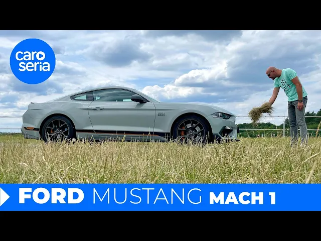 Ford Mustang Mach 1, czyli wiemy kto bzyknął nauczycielkę od polskiego! (TEST PL 4K) | CaroSeria